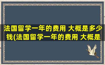 法国留学一年的费用 大概是多少钱(法国留学一年的费用 大概是多少人民币)